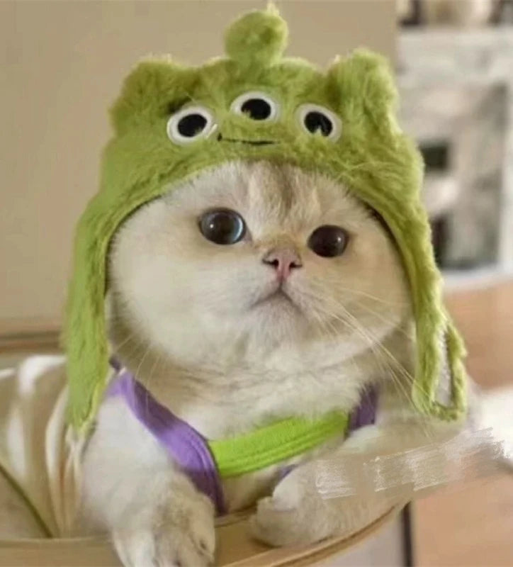 Personalized Animal Small Dog Hat Warm New Year Cosplay Accessories for Cats Snapper Bear French Bulldog Pet Supplies Head Gear