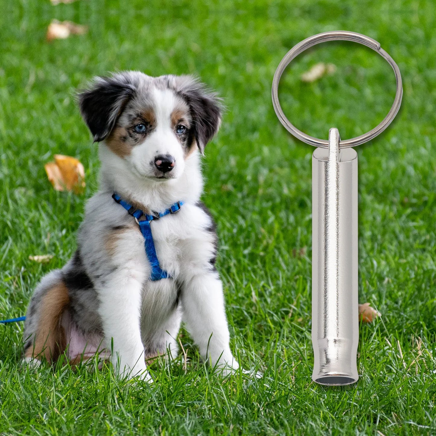 Dog Whistle to Stop Barking Neighbors Dog, Adjustable Ultrasonic Silent Dog Whistle, Professional Recall Dog Training Whistles