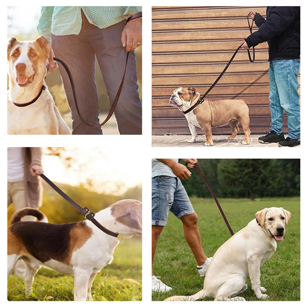 Pet Dog Flat Slip Lead British Style Durable Real Leather Dog Leash Smooth Adjustable Dog Slip Loop Lead for Walking & Showing