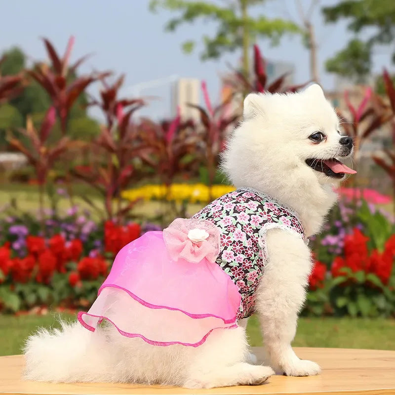 2024 Summer Dress for Dog Pets Clothes Chihuahua Wedding Dress Skirt Cloth Accessory Dog Pet Dress Supplies Hanbok Cat Costume