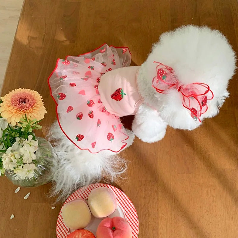 Cute Pet Dog Dress for Small Dogs Thin Puppy Princess Skirt Summer Dog Clothes Chihuahua York Clothing Pet Supplies