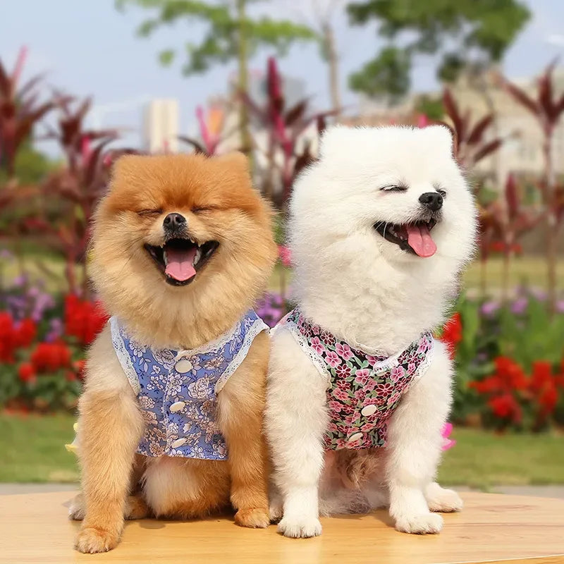 2024 Summer Dress for Dog Pets Clothes Chihuahua Wedding Dress Skirt Cloth Accessory Dog Pet Dress Supplies Hanbok Cat Costume
