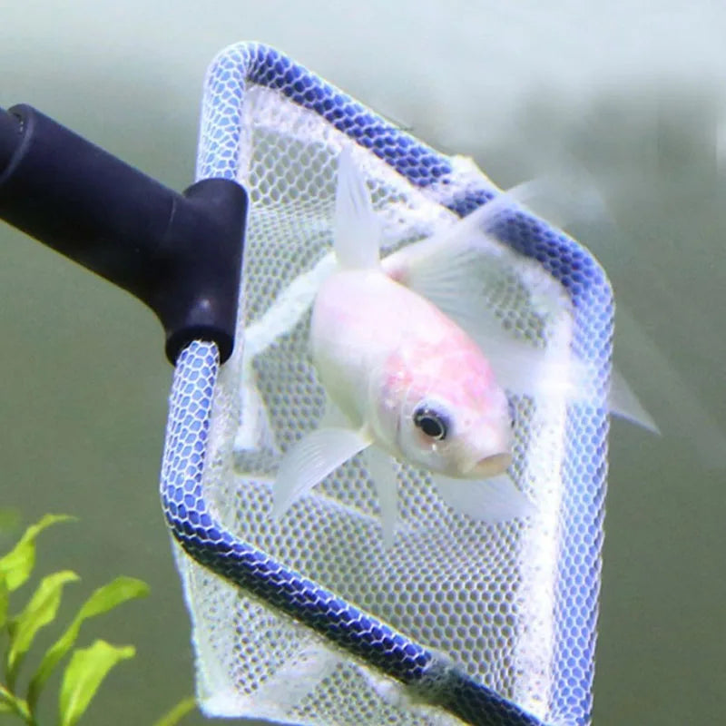 5 in 1 Aquarium Tank Cleaner Set Fish Net Gravel Rake Algae Scraper Fork Sponge Brush Glass Cleaner For Aquarium Cleaning Tools