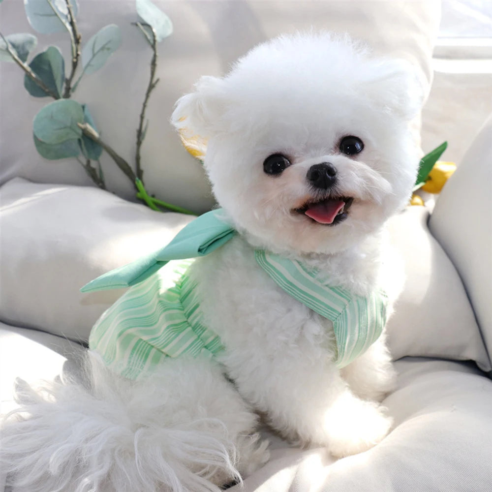 Summer Puppy Dog Skirt Dress with Buckle Sweet Stripe Pet Clothes for Small Dogs Pinscher Maltese mascotas Dresses disfraz perro