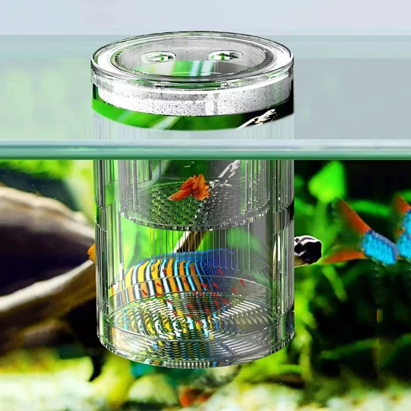 Acrylic Floating Fish Breeding Isolation Box Aquarium Breeder Feeder Fish Tank Hatching Incubator Aquarium Hatchery Accessories