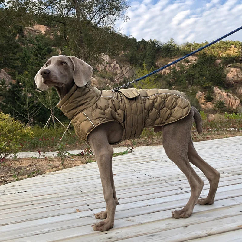 Italian Greyhound Large Dogs Clothes Winter Coat Adjustable Reflective Warm Fleece Lined Turtleneck Dog Jacket for Big Dogs