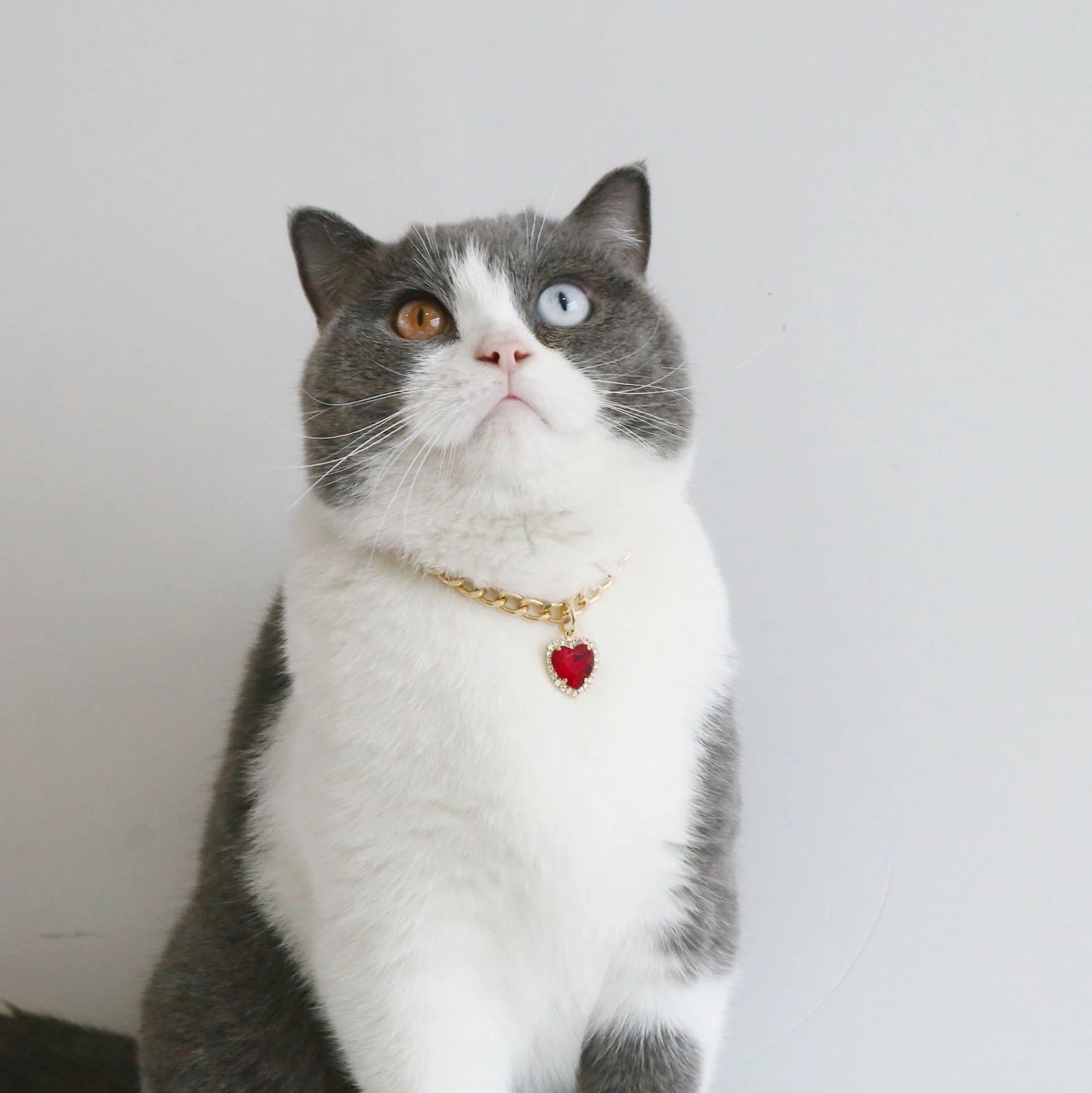 Luxury Dog Cat Necklace Jewelry with Heart Diamond Pendant Design Gold Chain Collar Pet Wedding Birthday Costume Accessories