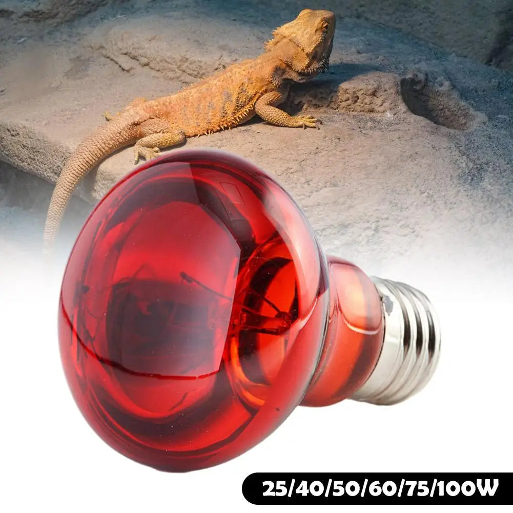 E27 Reptile Bulb Heating Night Light Daylight UVA 55g Ceramic Heating Lamp Simulates UVA In Natural Sunlight Meet Lighting Needs