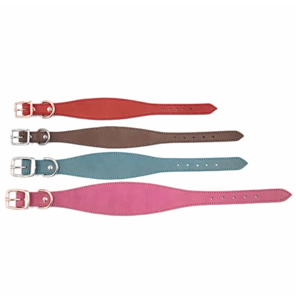 Soft Real Leather Extra Wide Padded Tapered Dog Collar Glossy Brown Black Greyhound Saluki Deerhound Lurcher Whippet Dachshund