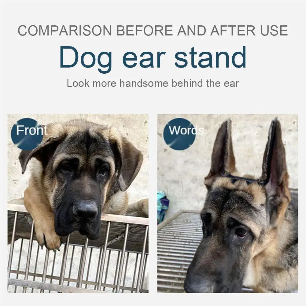 1pcs Dog Ear Stand Corrector Auxiliary Dog Ear Stand Up Tool For German Shepherd Doberman Dog Ear Dog Accessories X1H0