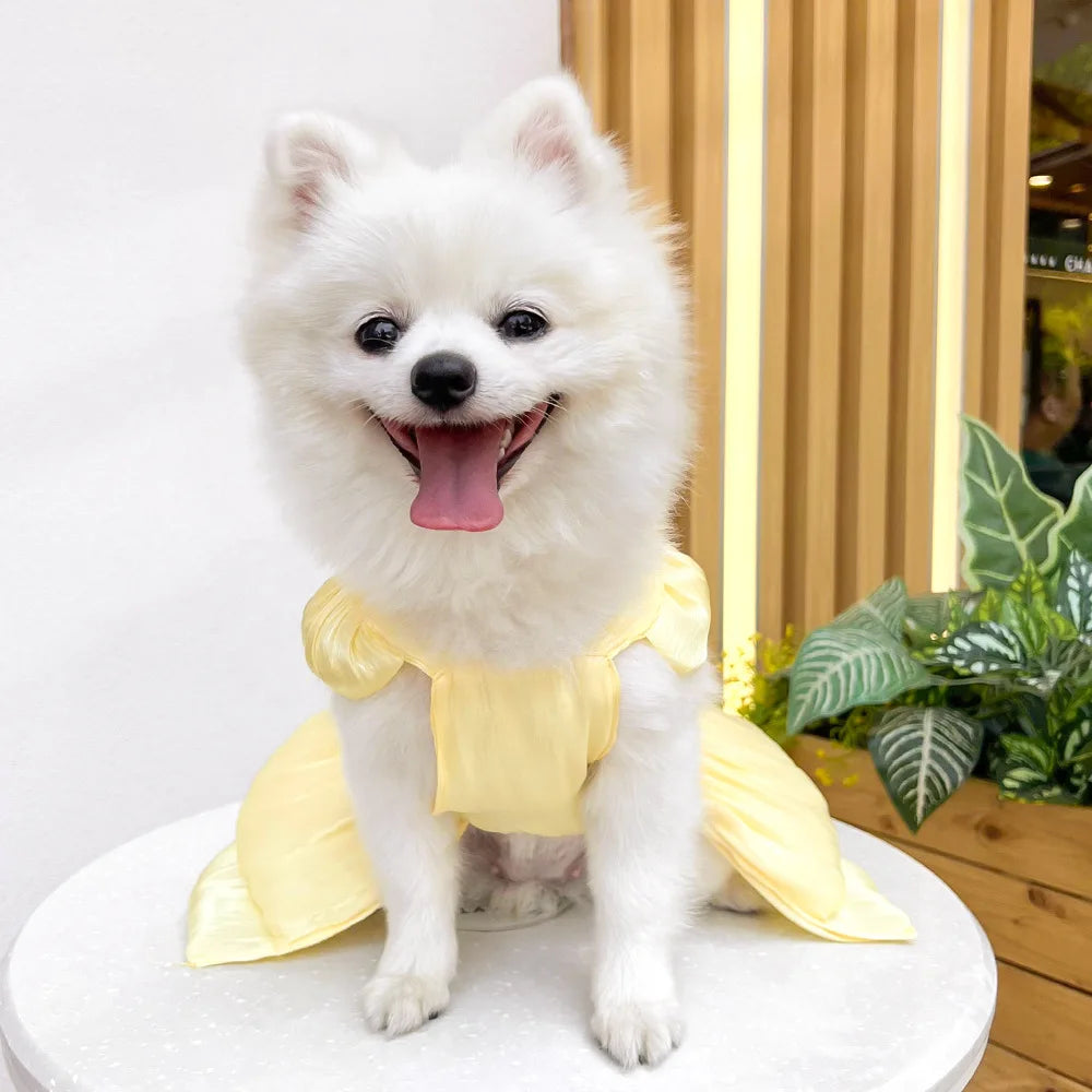 Summer Pet Dog Skirt Puppy Striped Butterfly Skirt Princess Baby Dog Wedding Midi Dress Cat Skirt Shih Tzu Dog Clothes for Party