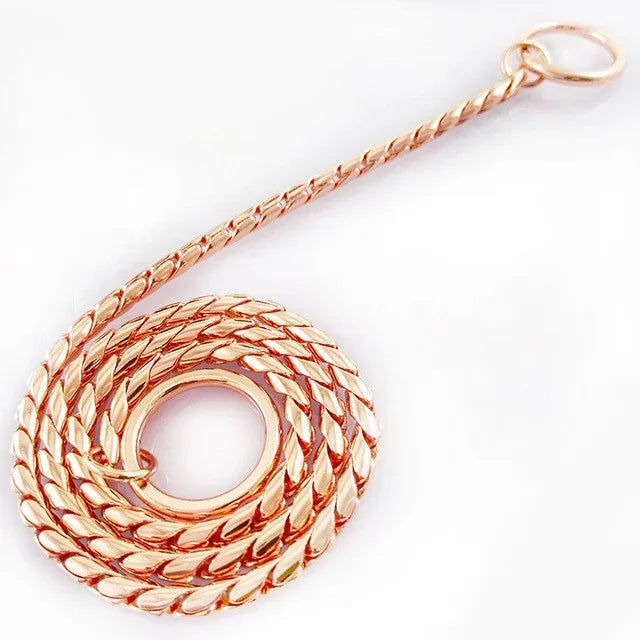 Dog P Chrome Plated Metal Dog Training Choke and Collar, Fully Guaranteed, Against Rust Tarnish or Breakage, Recommended