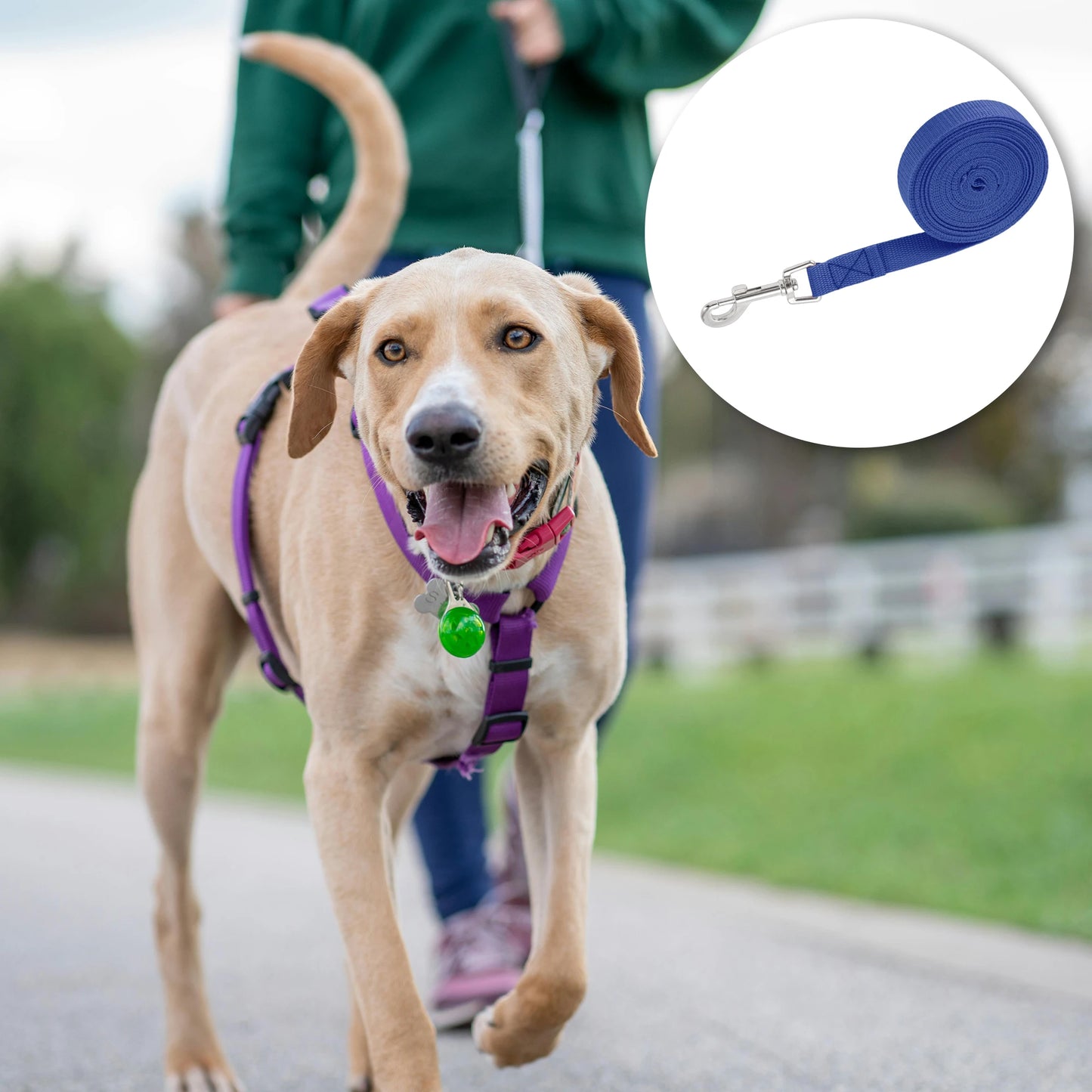 Uxcell Long Training Dog Leash 5M/6M/10M/15M Puppy Leashes for Small Medium Dogs Puppy Lead Outdoor Hiking Adjustable Rope