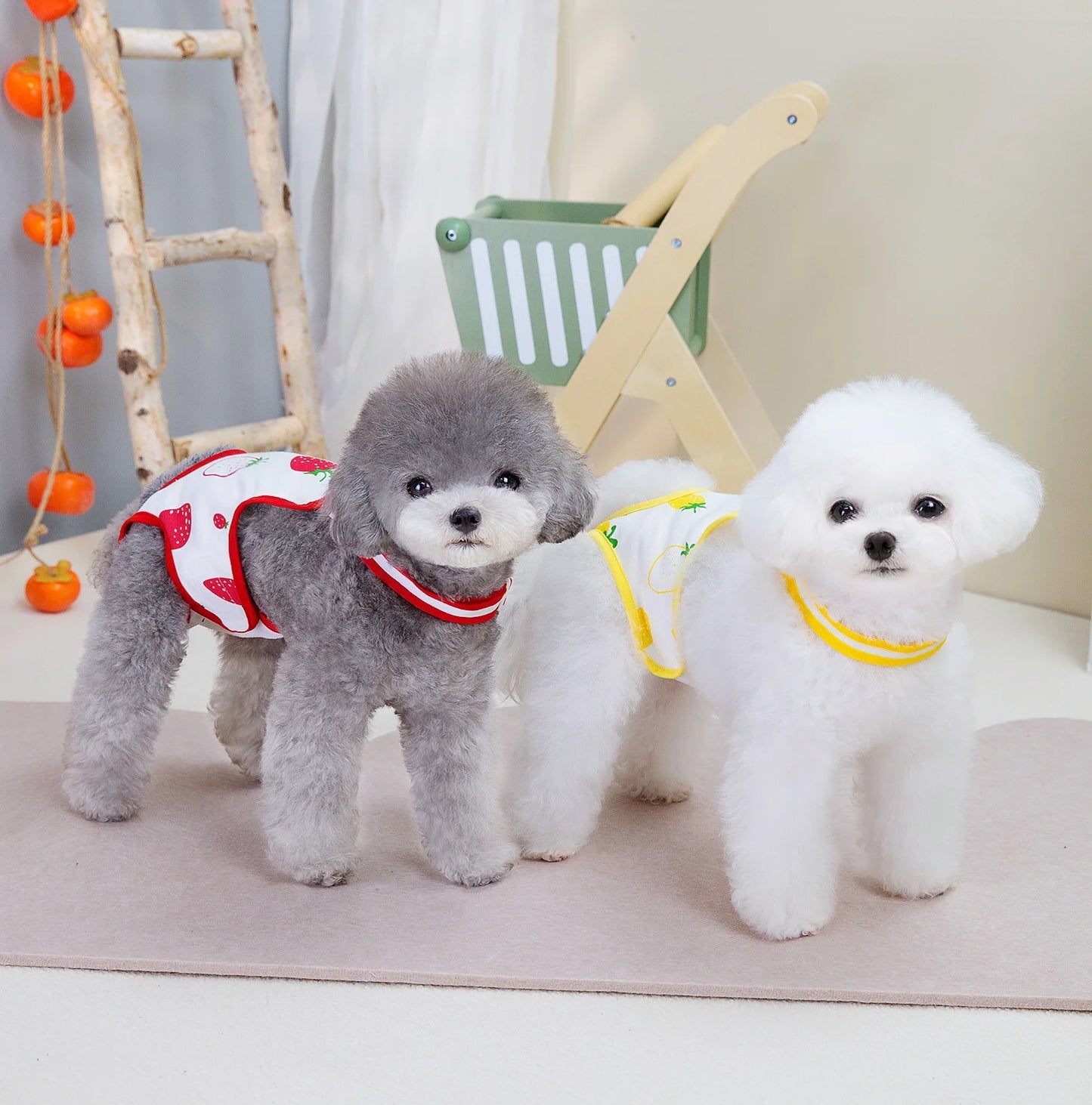 Reusable Female Dog Diapers with Adjustable Suspender for Small Medium Dogs, Washable Puppy Onesie Sanitary Physiology Panties