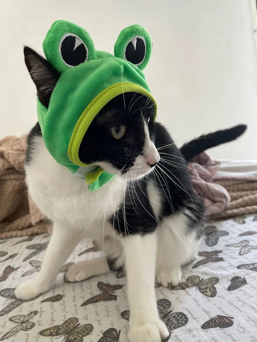 Cute Pet Hat Small Dog Cat Hat Easter Bunny Hat Crab Lobster Frog Cap Pet Party Costume Accessories Headwear for Cat Kitten Pug