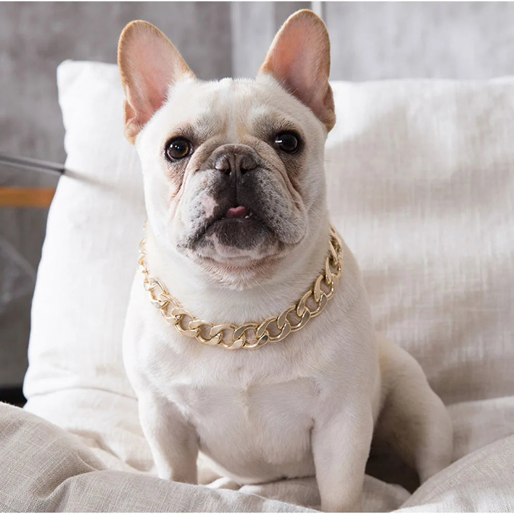 Gold Pet Cat Dog Collar Adjustable Light Plastic Small Dog Cuban Link Collar for Bulldog Puppy Necklace Pet Apparel Accessories