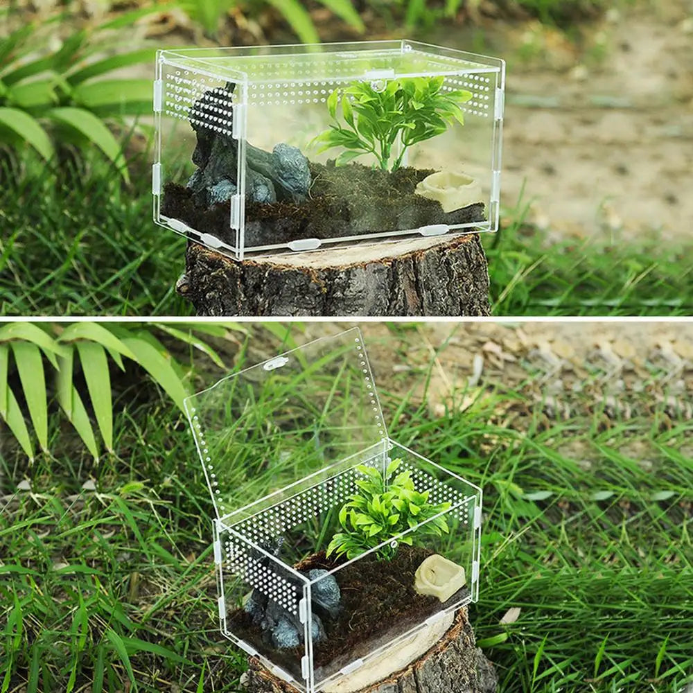 Reptile Terrarium Transparent Reptile Breeding Carrier Lightweight Acrylic Large Feeding Tarantula Habitat Box For Small Animals