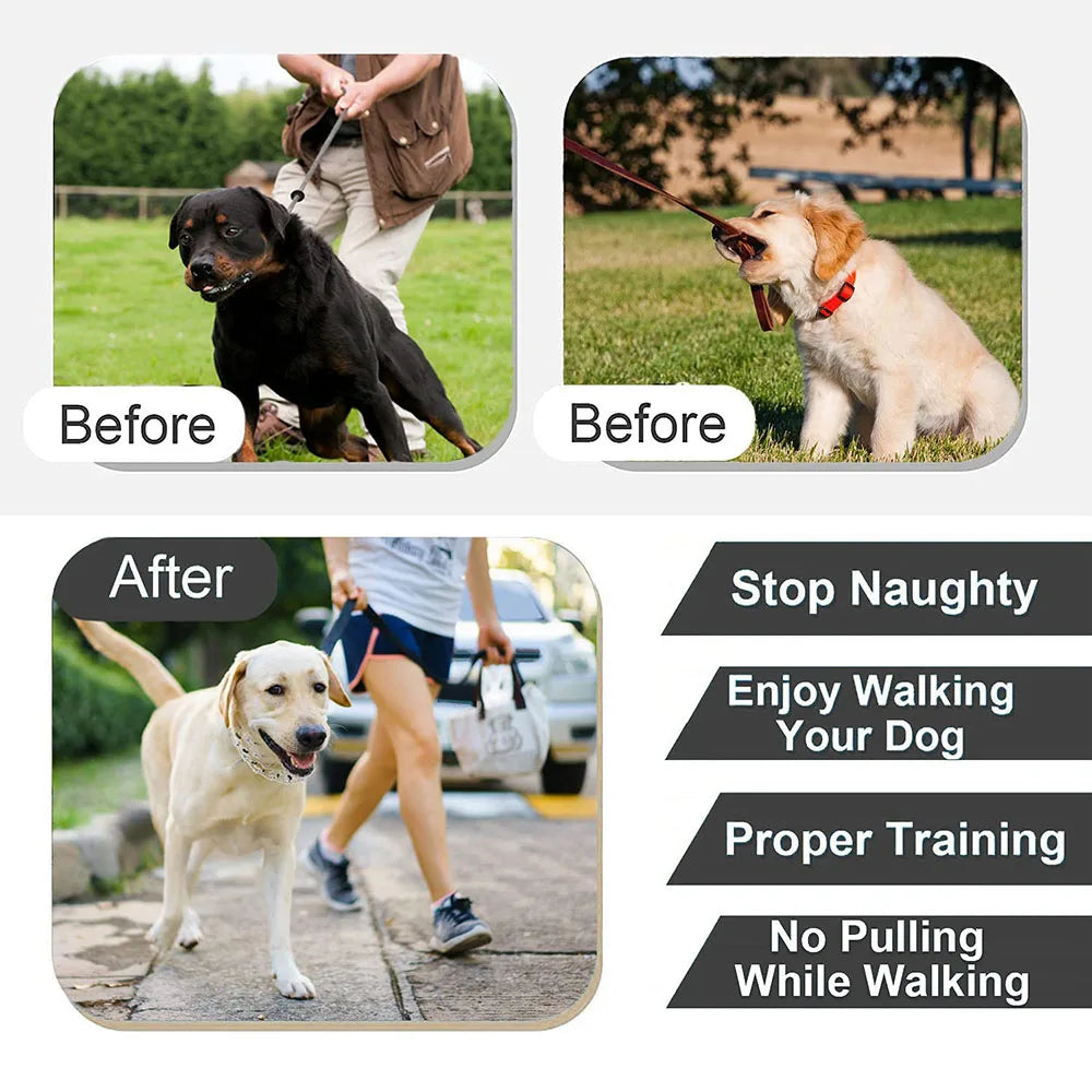 Dog Collar for Anti-Pull Training Quick-Release Metal Buckle Adjustable Stainless Steel Collar for Dogs Pet Prong Choke Collar