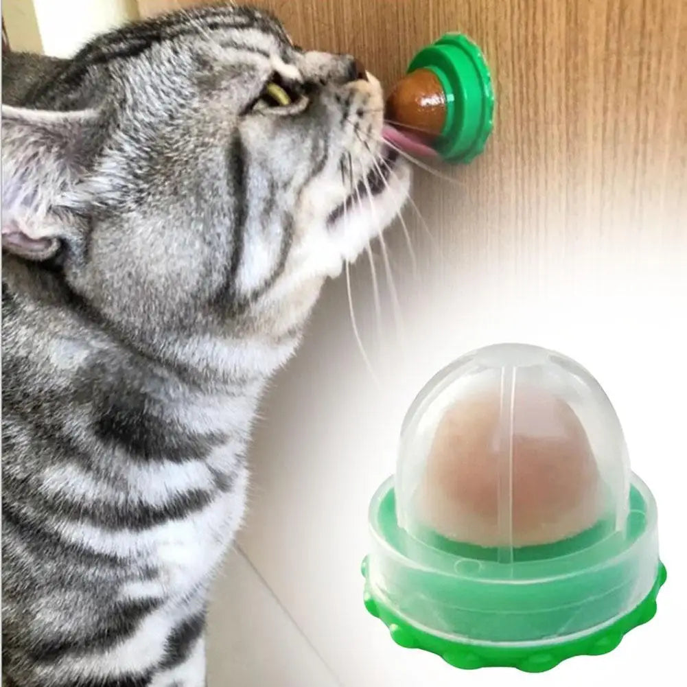 Healthy Cat Mint Ball Nutritious Candy Solid Sticky Wall Digestion Cat Snacks Pet Teeth Cleaning Anti-Bite Snacks Licking Candy