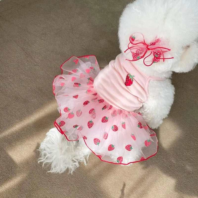 Cute Pet Dog Dress for Small Dogs Thin Puppy Princess Skirt Summer Dog Clothes Chihuahua York Clothing Pet Supplies