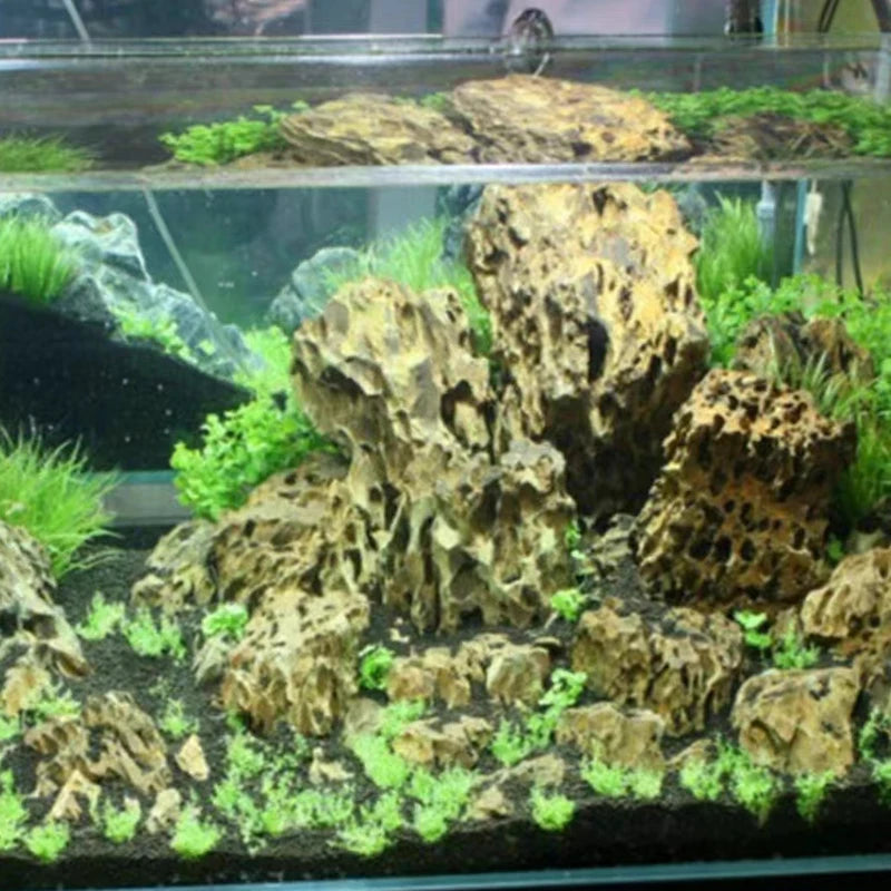 Natural Aquarium Decoration Stone Rockery Landscaping Fish Tank Porous Pine Stone Beautiful Landscape Good for Plants Growth