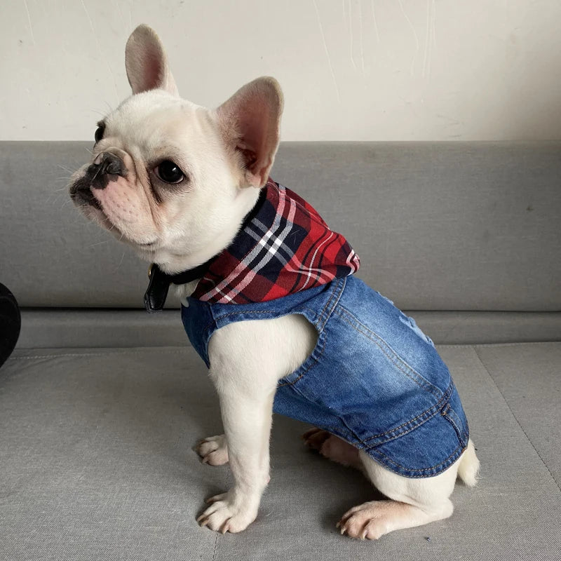 Spring Autumn Apparel Dog Jeans Jacket for Small Medium Dogs Cool Blue Pet Denim Hooded Coat Puppy Clothes Outfits