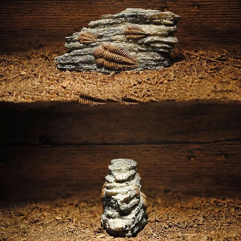 Aquarium Decorations Resin Fossil Artificial Fish Tank Ornament Shrimps Small Fish Reptile Aquarium Shelter Landscape Decor New