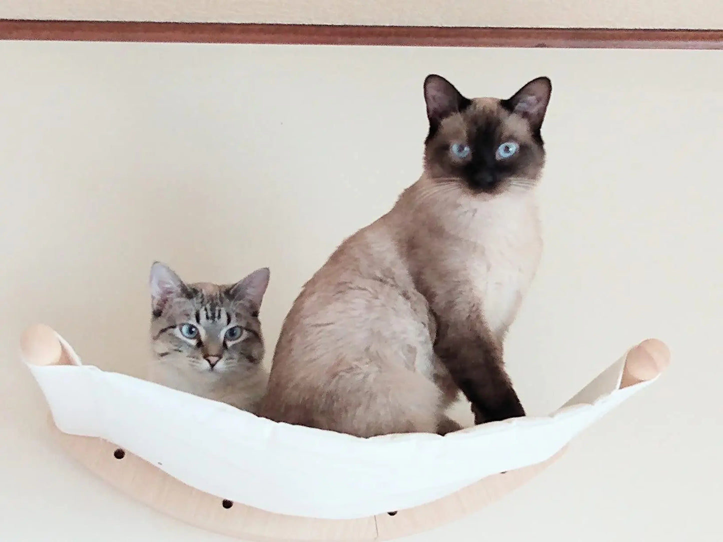 Cat Tree Tower Wooden Cat Climbing Shelves Cat Hammock Safe Perch Detachable & Easy-cleaning Wall Mounted Ladders Pet Furniture