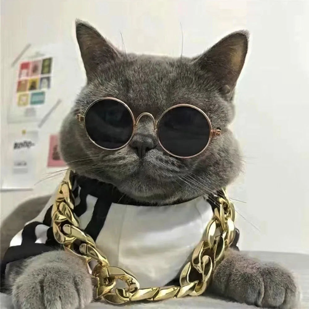 Gold Pet Cat Dog Collar Adjustable Light Plastic Small Dog Cuban Link Collar for Bulldog Puppy Necklace Pet Apparel Accessories