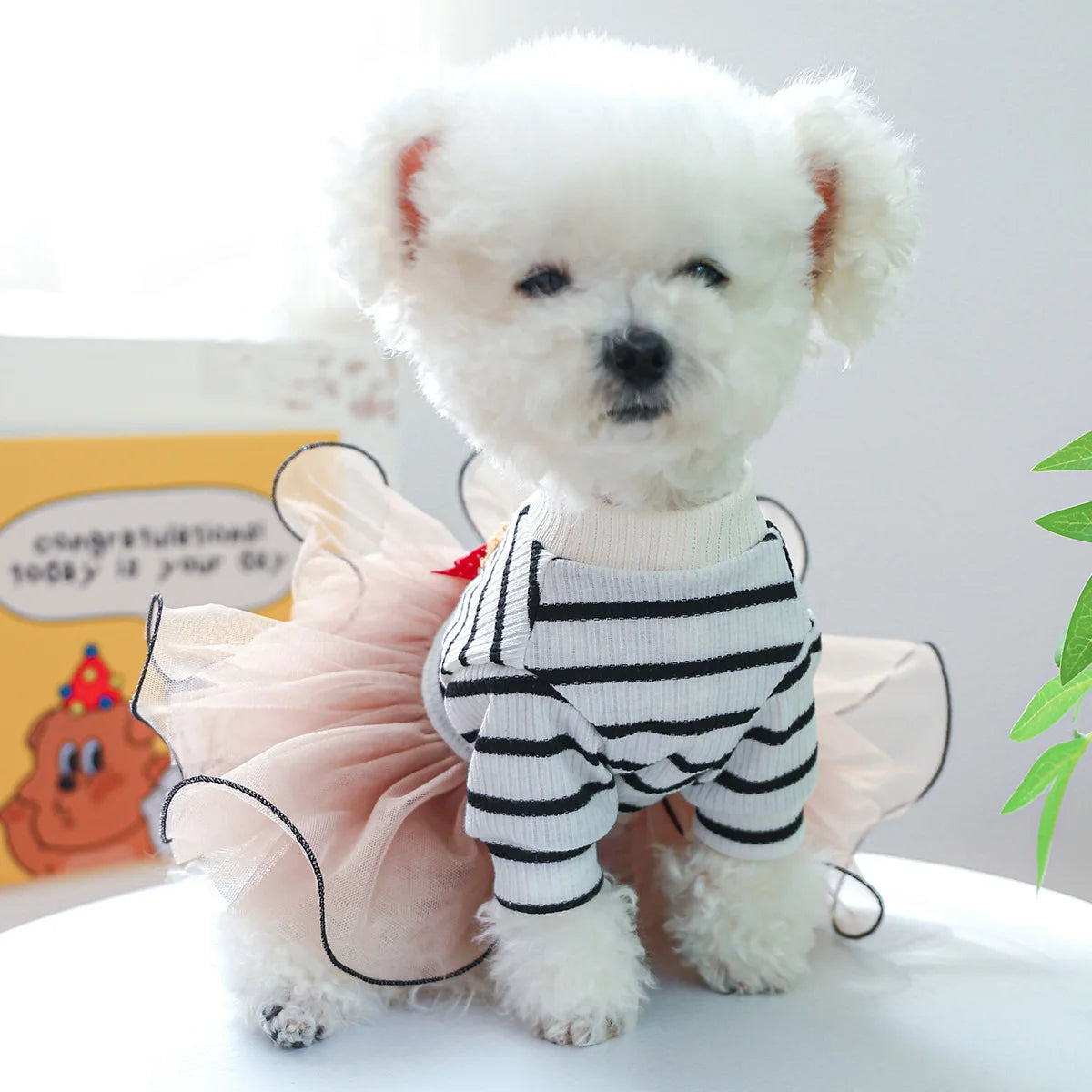 Cute Bear Stripe Dog Dress for Small Dogs, Luxury Tiered Layer Tulle Tutu Dress Princess Skirt Spring Autumn Puppy Pet Clothes