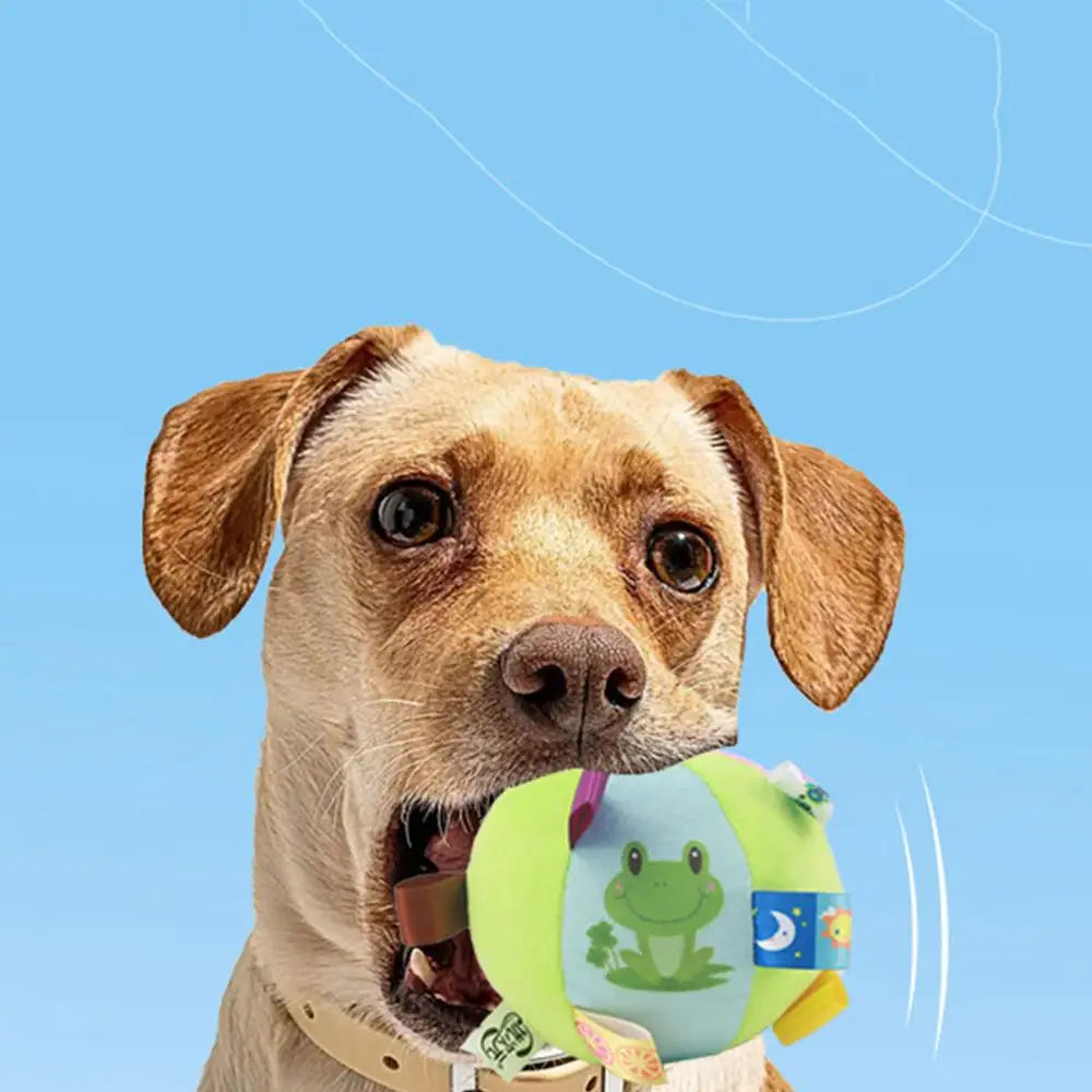Squeaky Dog Toy Ball Cute Plush Ball Voice Teething Toys Pet Training Supplies Dog Sound Toys Soft Cleaning Chew Training Toys