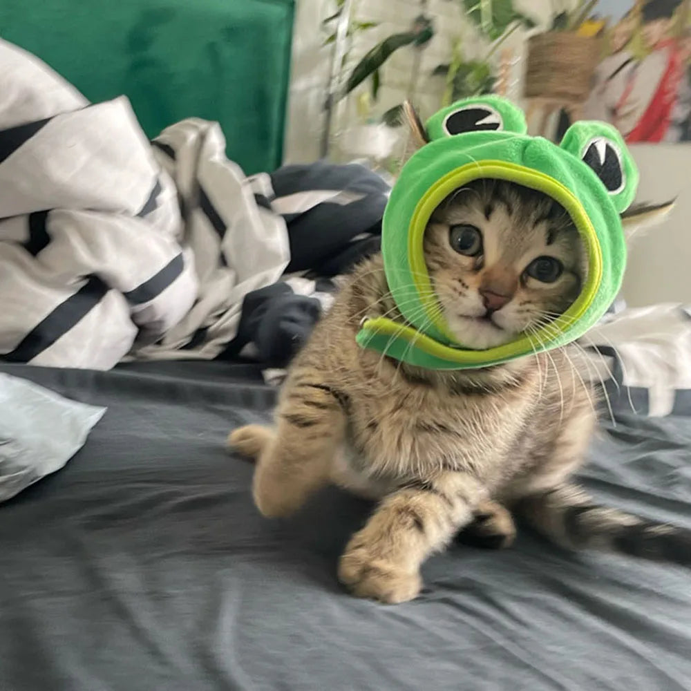 Cute Pet Hat Small Dog Cat Hat Easter Bunny Hat Crab Lobster Frog Cap Pet Party Costume Accessories Headwear for Cat Kitten Pug