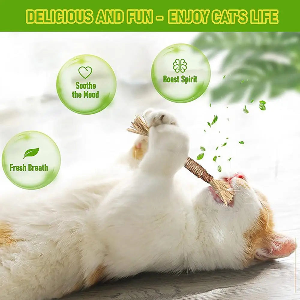 Natural Matatabi Cat Snacks Sticks Catnip Pet Cat Toys Actinidia Polygama Molar Toothpaste Stick Cleaning Teeth