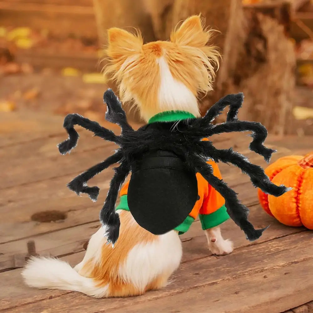 Spider Costume For Cats Fun Realistic Dogs Cats Cosplay Outfit Scary Halloween Dressing For Pet Supplies Festive Costume For