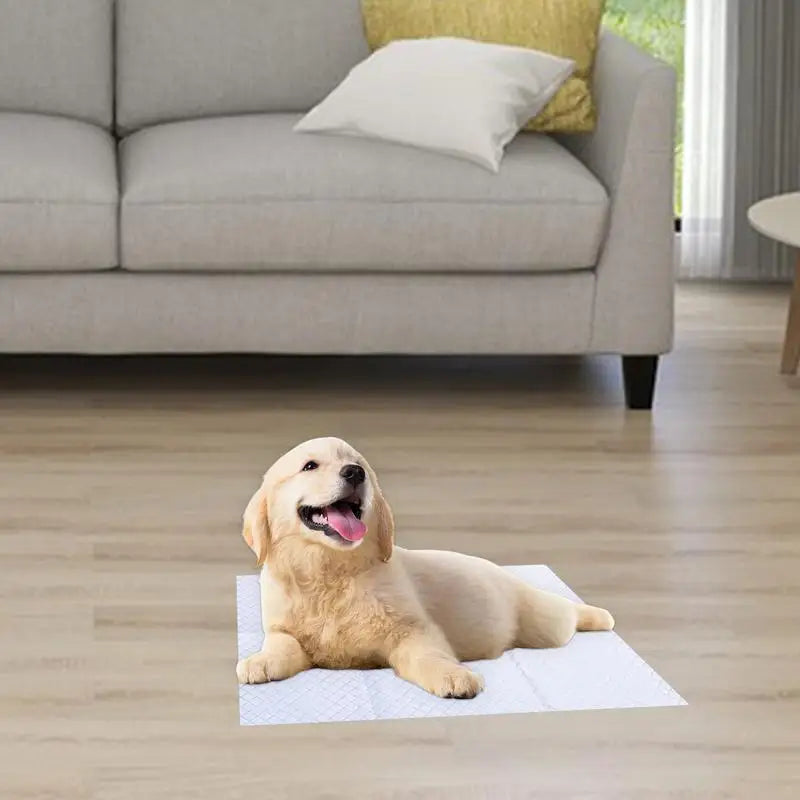 50pcs Dog Pee Pads Leak-Proof Potty Training Pads Cats Dog Diapers Waterproof Quick-Dry Pet Potty Training Pads For Doggies Cats