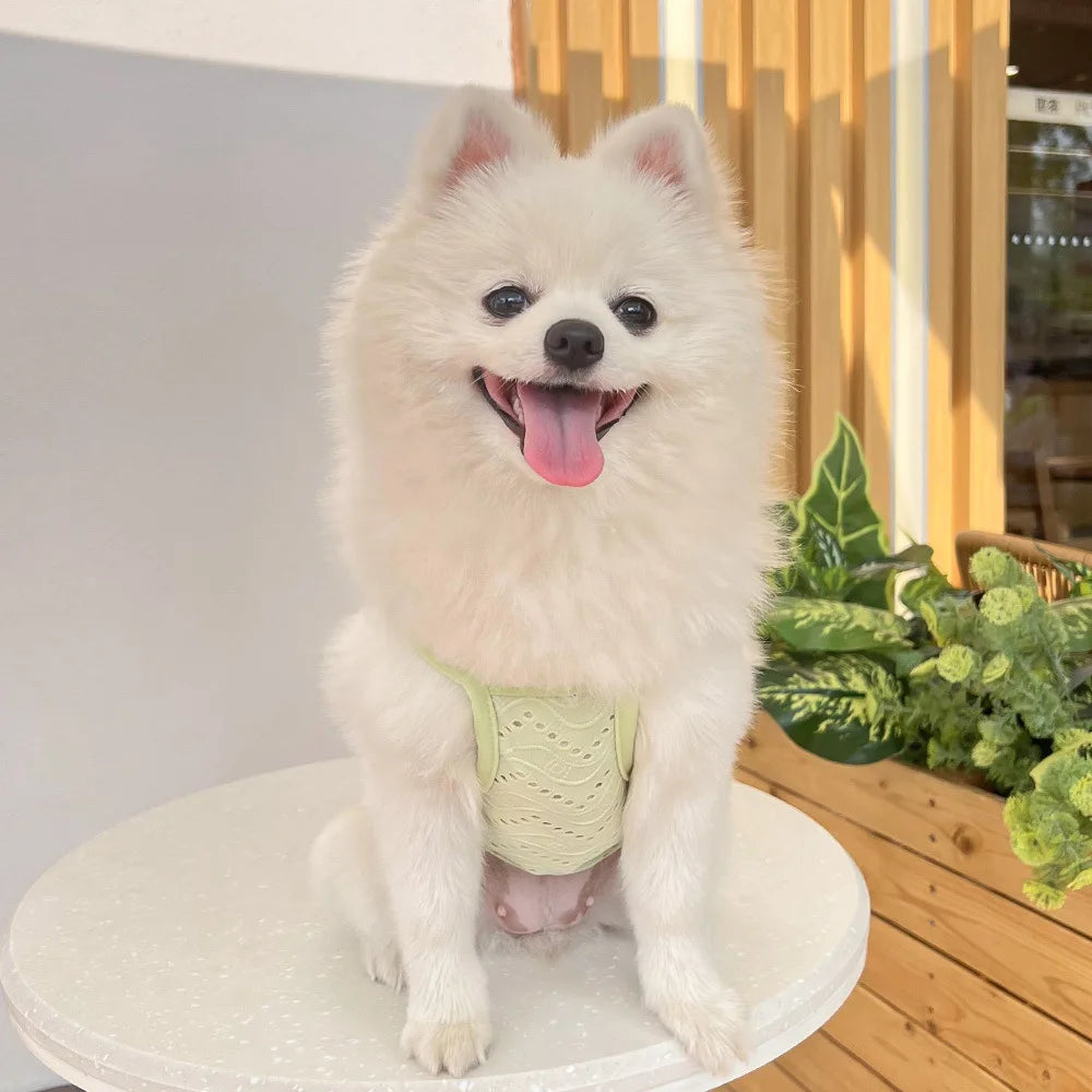 Spring and summer small dog clothing minimalist suspender thin breathable small and medium-sized dog pet cat clothing supplies