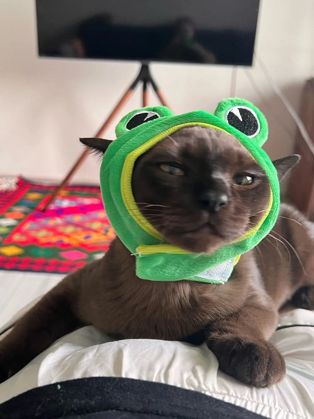 Cute Pet Hat Small Dog Cat Hat Easter Bunny Hat Crab Lobster Frog Cap Pet Party Costume Accessories Headwear for Cat Kitten Pug