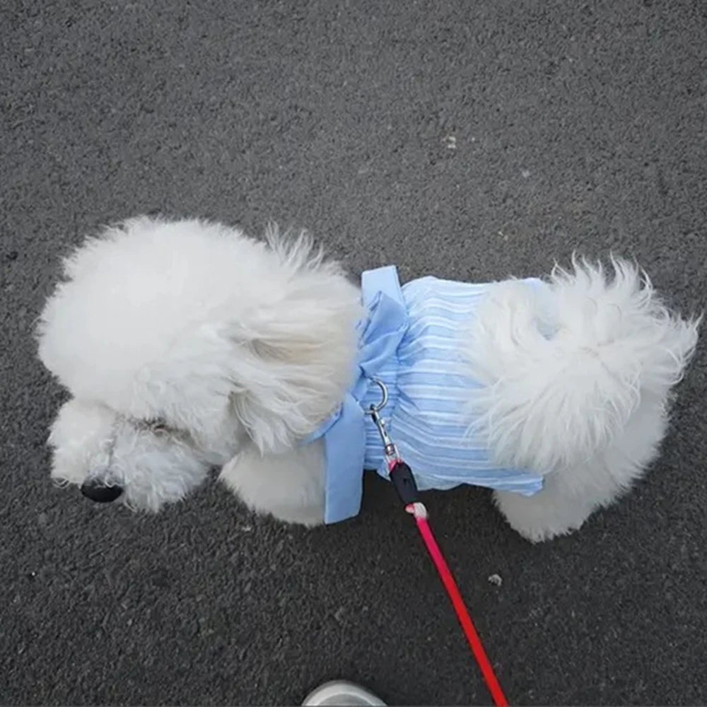 Summer Puppy Dog Skirt Dress with Buckle Sweet Stripe Pet Clothes for Small Dogs Pinscher Maltese mascotas Dresses disfraz perro