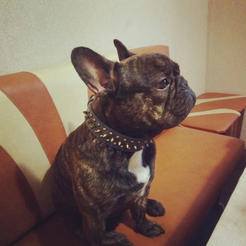 Bronze Spiked Studded Leather Dog Collars For Small Medium Large Dogs Pet Spike Collar Rivets Anti-Bite Pet Products Neck Strap