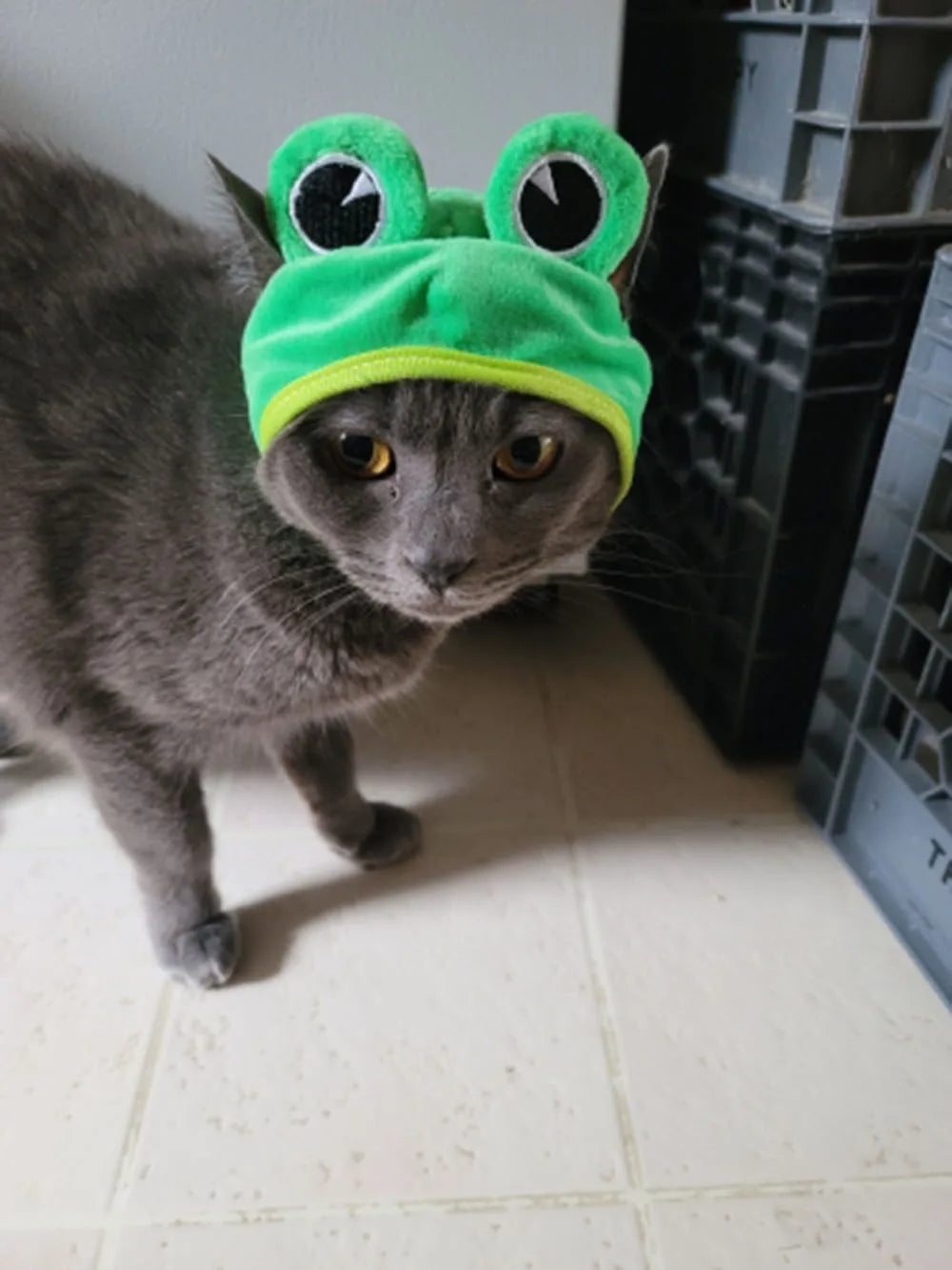 Cute Pet Hat Small Dog Cat Hat Easter Bunny Hat Crab Lobster Frog Cap Pet Party Costume Accessories Headwear for Cat Kitten Pug