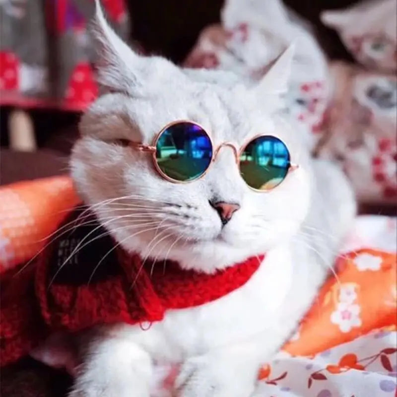 Anti-slip Cat Sunglasses Pet Accessories Small Dog Sun Glasses Classic Retro Circular Glasses for Kitten Photos Props Cosplay