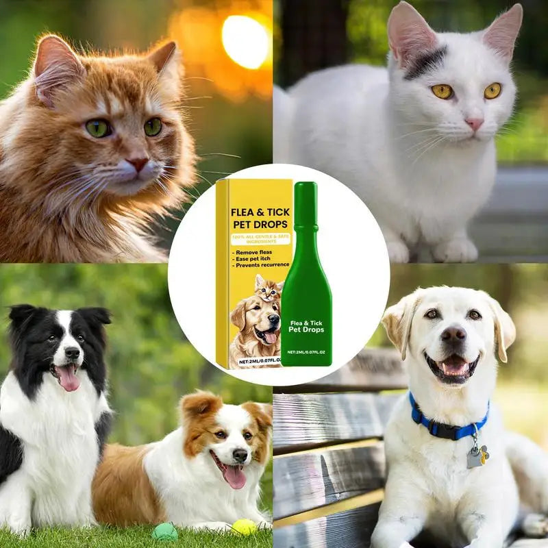 2Ml Pet Dog Cat Vitro Drops Long-Lasting Control Repel Fleas Ticks Lice Insect Remover Spray For Cats Kittens Dogs