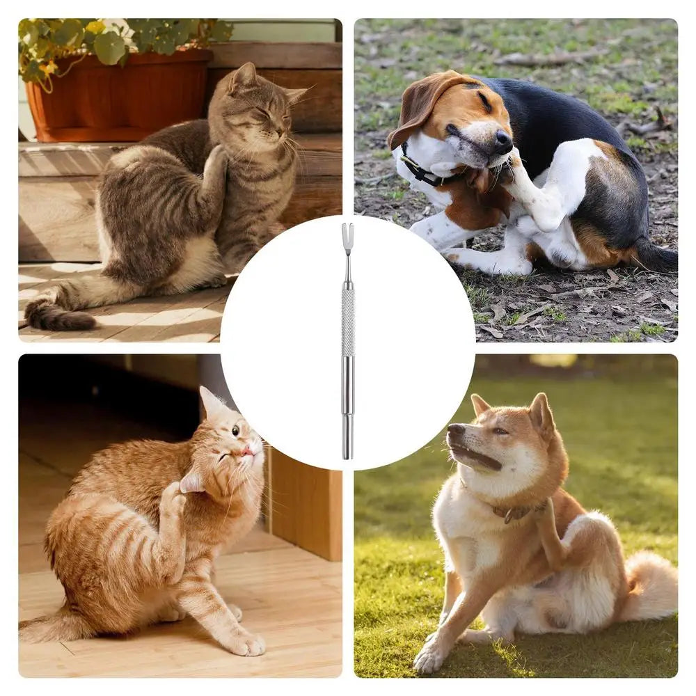 Tick Remover for Dogs Tick Removal Kit Stainless Steel Tweezers for Dogs and Cats Rustproof Tick Puller Tools Pets Suppliers