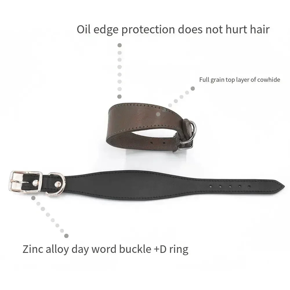 Soft Real Leather Extra Wide Padded Tapered Dog Collar Glossy Brown Black Greyhound Saluki Deerhound Lurcher Whippet Dachshund