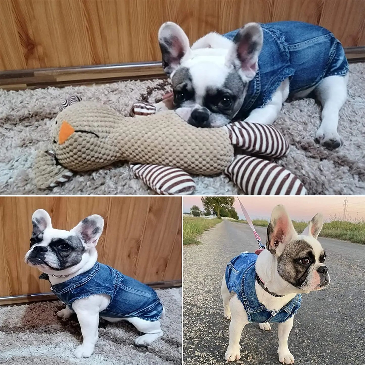 Sphinx Cat Clothes for Small Medium Large Cats, Dark Washed Cat Jeans Jacket Spring Autumn Denim Coat Cat Costume Pet Apparel