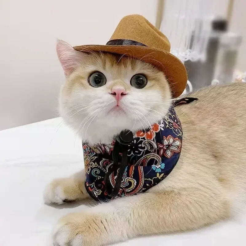 Pet Hat Dog Cat Western Cowboy Hat Halloween Pet Outdoor Caps Funny Retro Photo Prop Dog Accessories Doll Decor Pet Products