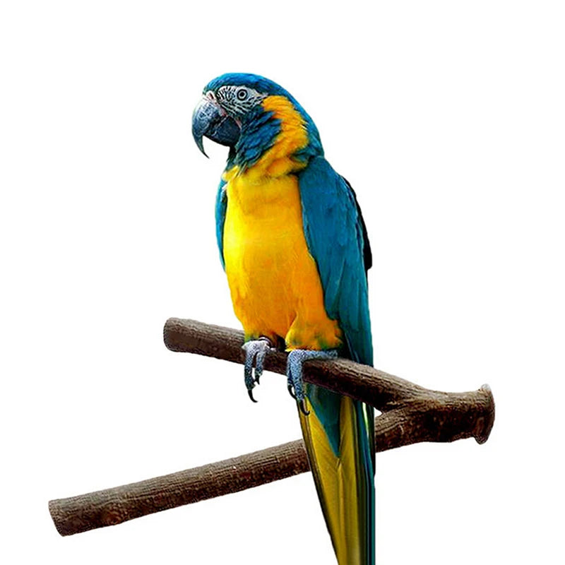 1Pc Hamster Branch Perches For Bird Cage 15cm Pet Parrot Raw Wood Fork Tree Branch Stand Rack Toy