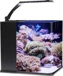 Table Curvedcurved Saltwater Marine Fish Tank Aquarium
