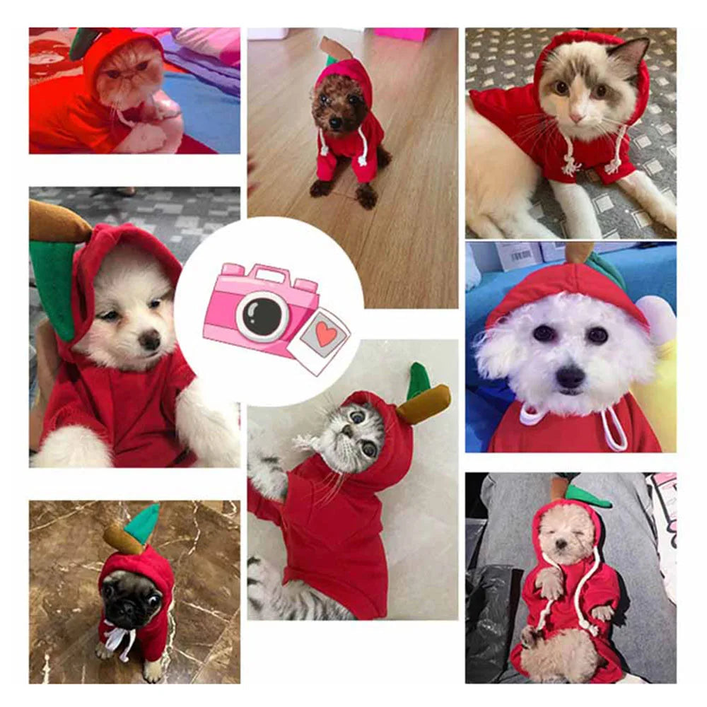 Cute Fruit Pet Costume Dog Clothes for Small Dogs Warm Fleece Doggy Hoodies Pet Dog Cat Clothing Puppy Sweater for Chihuahua Pug