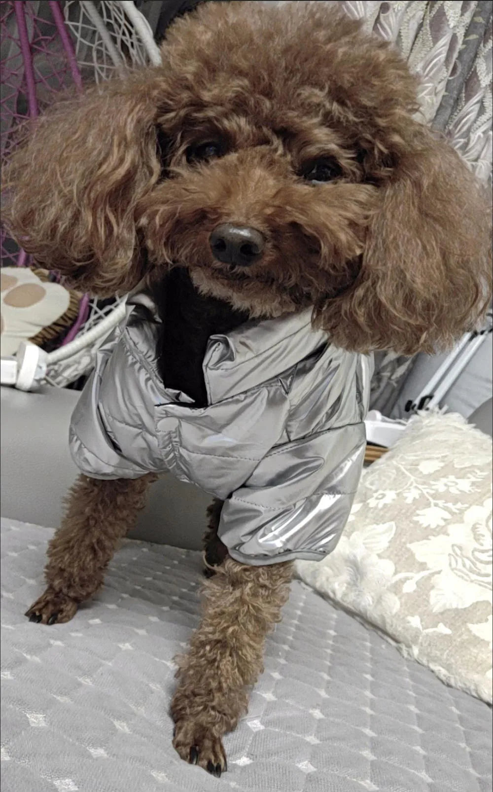 Puppy Pet Dog Clothes Outdoor Windproof Waterproof Leather Dog Coat Winter Warm Padded Jacket for Dogs and Cats in Cold Weather